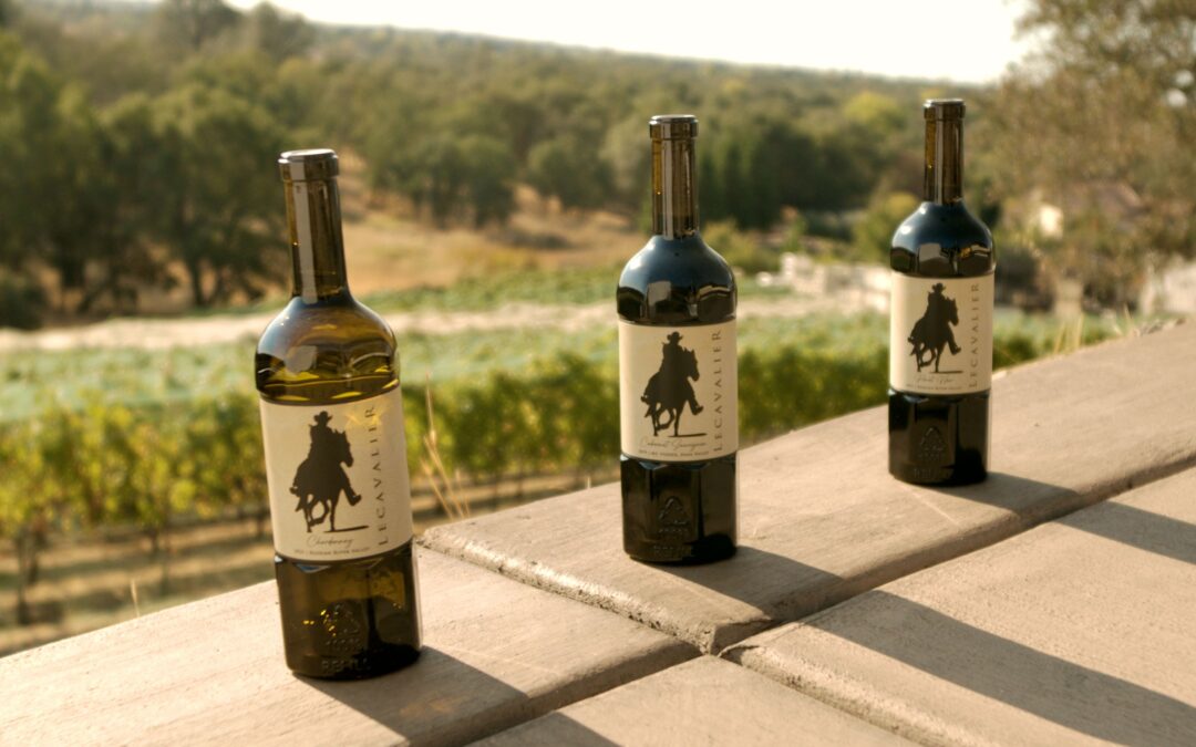 Lecavalier - wine bottles in the sun