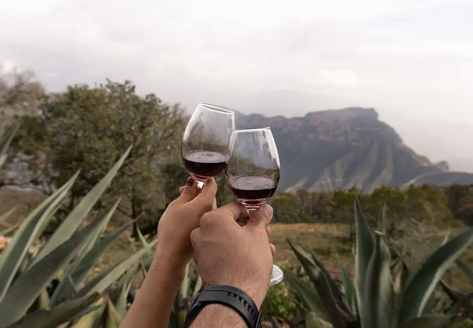 What Makes Red Wines from the Sierra Foothills Unique?