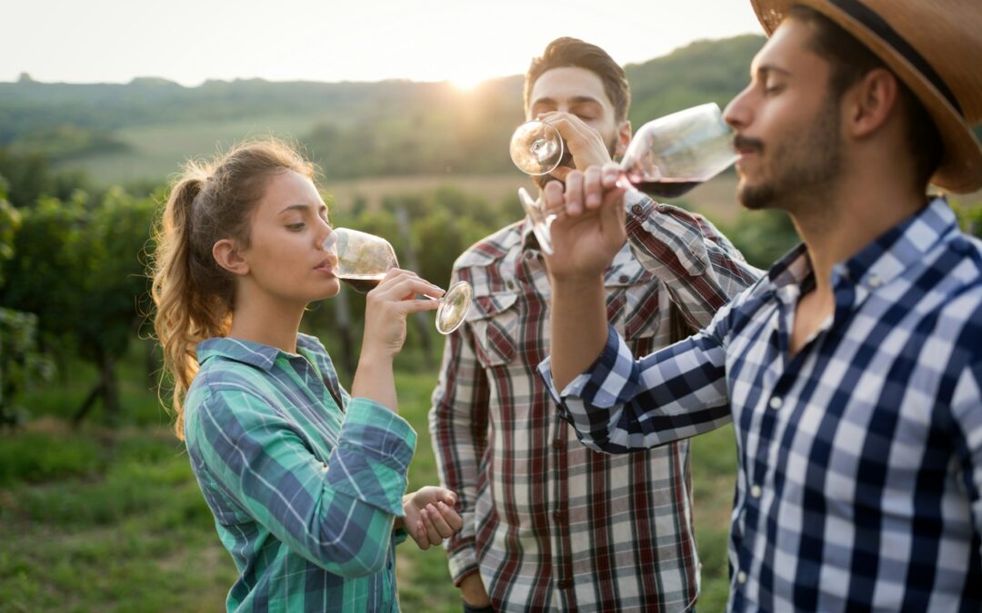 First-Time Visitor Problems at Newcastle Wineries and Their Fixes